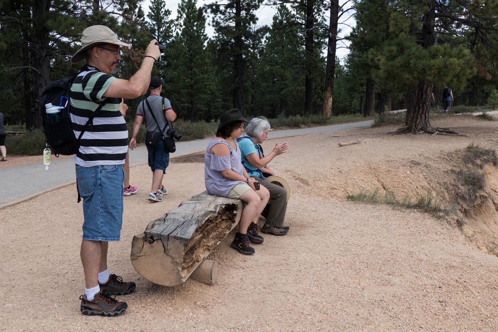 Carl, Miranda, Joyce, and Matthew.<br />Along the Rim Trail.<br />Aug. 9, 2017 - Bryce Canyon National Park, Utah.