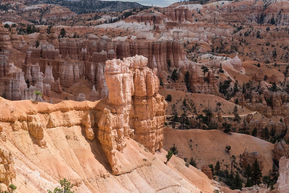Along the Rim Trail.<br />Aug. 9, 2017 - Bryce Canyon National Park, Utah.