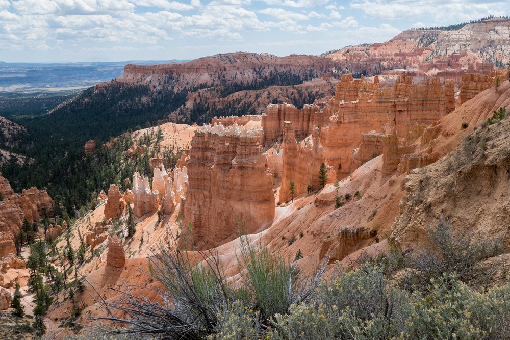 Along the Rim Trail.<br />Aug. 9, 2017 - Bryce Canyon National Park, Utah.