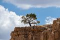 On the Navajo Loop Trail.<br />Aug. 9, 2017 - Bryce Canyon National Park, Utah.