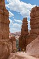 On the Navajo Loop Trail.<br />Aug. 9, 2017 - Bryce Canyon National Park, Utah.