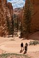 Holly, Matthew, and Joyce.<br />On the Navajo Loop Trail.<br />Aug. 9, 2017 - Bryce Canyon National Park, Utah.
