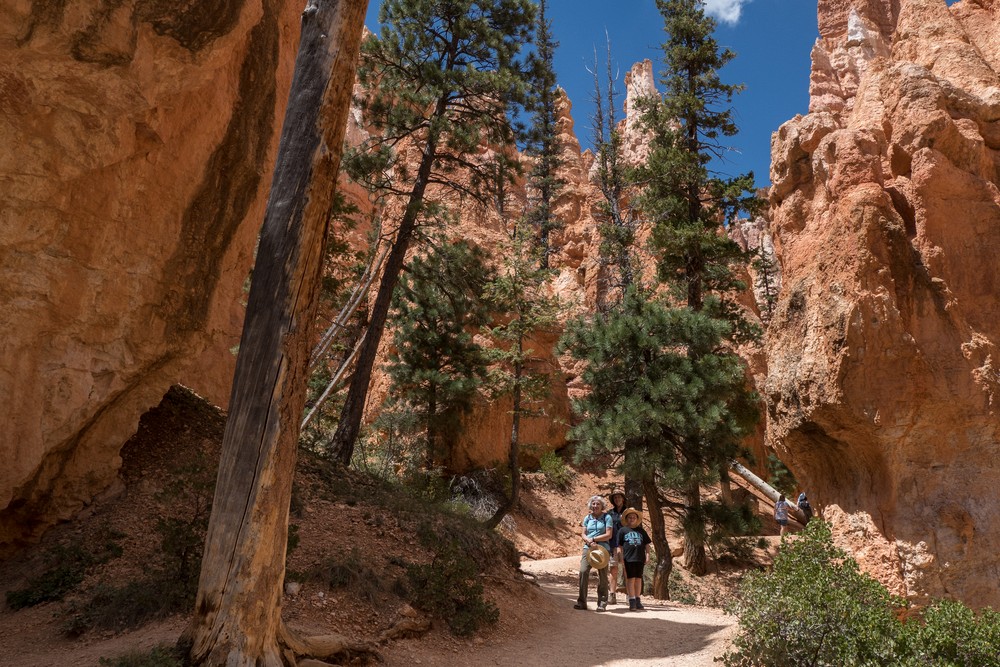 Joyce, Holly, and Matthew.<br />On the Navajo Loop Trail.<br />Aug. 9, 2017 - Bryce Canyon National Park, Utah.