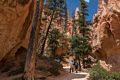 Joyce, Holly, and Matthew.<br />On the Navajo Loop Trail.<br />Aug. 9, 2017 - Bryce Canyon National Park, Utah.