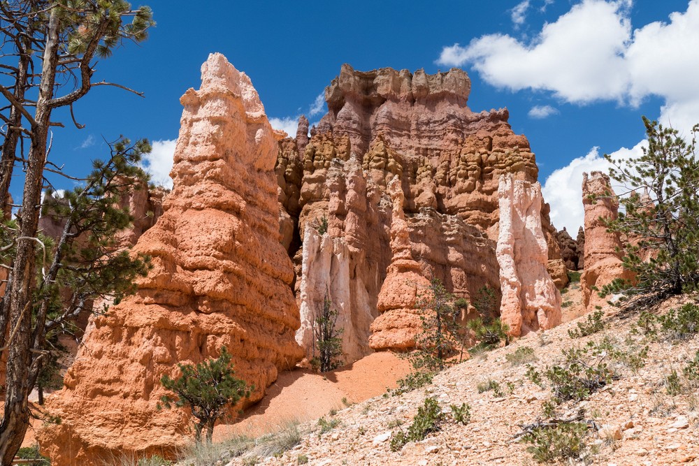Along the Queen's Garden Trail.<br />Aug. 9, 2017 - Bryce Canyon National Park, Utah.