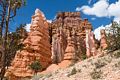 Along the Queen's Garden Trail.<br />Aug. 9, 2017 - Bryce Canyon National Park, Utah.