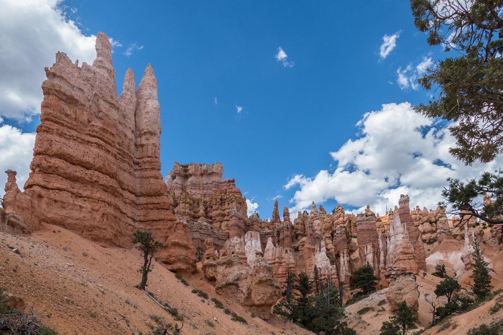 Along the Queen's Garden Trail.<br />Aug. 9, 2017 - Bryce Canyon National Park, Utah.