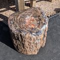 Petrified tree at the Bryce Canyon Rock Shop.<br />Old Bryce Town.<br />Aug. 9, 2017 - Bryce, Utah.