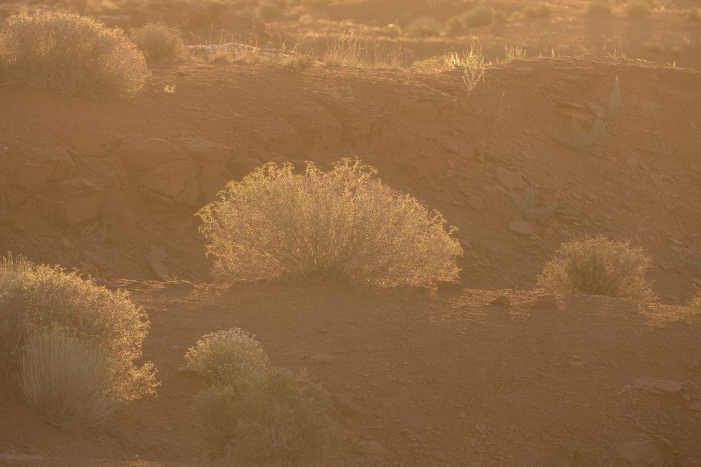 View from our cabin at sunrise.<br />Aug. 14, 2017 - Monument Valley Navajo Tribal Park, Arizona.