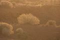 View from our cabin at sunrise.<br />Aug. 14, 2017 - Monument Valley Navajo Tribal Park, Arizona.