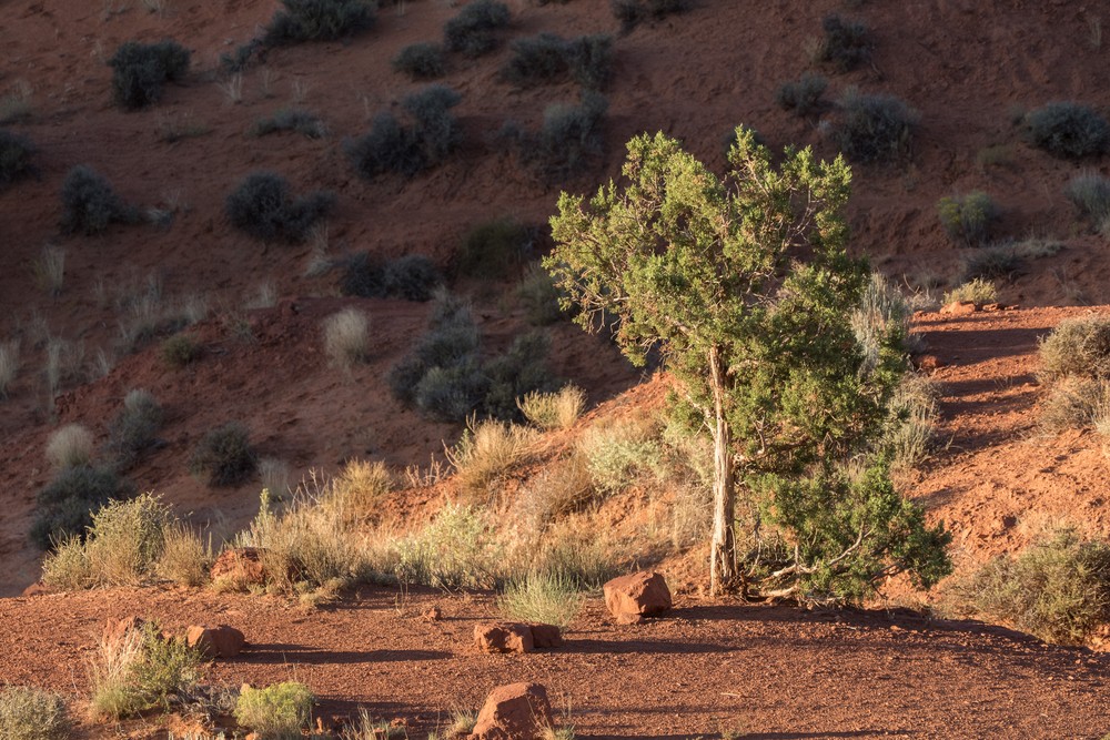 View from our cabin.<br />Aug. 14, 2017 - Monument Valley Navajo Tribal Park, Arizona.