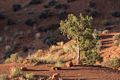 View from our cabin.<br />Aug. 14, 2017 - Monument Valley Navajo Tribal Park, Arizona.