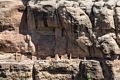 More cliff structures in canyon.<br />View from outlook between Sun Point View and Sun Temple.<br />Aug. 16, 2017 - Mesa Verde National Park, Colorado.