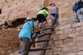Joyce and Matthew on the ladder.<br />Ranger guided tour of Long Huose.<br />Aug. 16, 2017 - Mesa Verde National Park, Colorado.