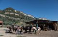 Matthew, Miranda, Holly, and Carl on horses.<br />Aug. 17, 2017 - Rapp Corral, Durango, Colorado.