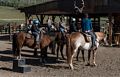 Miranda, Matthew, Carl, and Holly on their respective horses and ready to go.<br />Aug. 17, 2017 - Rapp Corral, Durango, Colorado.