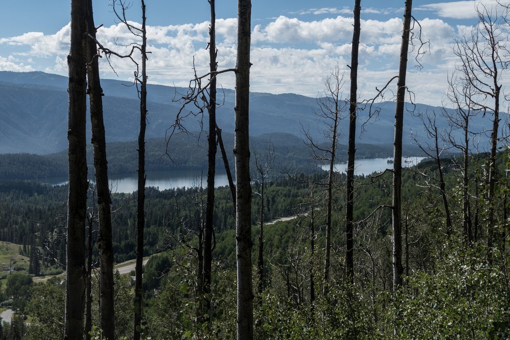 Electra Lake and US-550 from the Elbert Creet Trail.<br />Aug. 17, 2017 - Off US-550, Durango, Colorado.