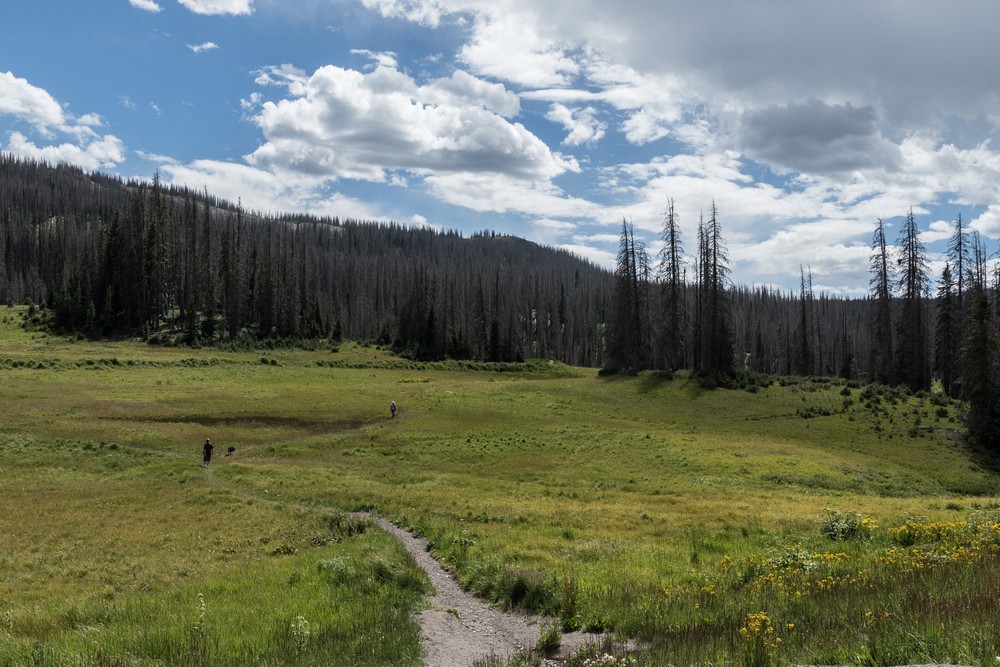 Looking West.<br />At 10857 feet of elevation and at the continental divide.<br />Aug. 17, 2017 - Wolf Creek Pass on US-160, Colorado.