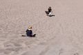 Matthew sledding down the dune while Miranda climbs back up (quite a chore at 8000+ feet).<br />Aug. 18, 2017 - Great Sand Dunes National Park, Colorado.