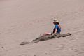Holly doind some fancy manouvering on the dune?<br />Aug. 18, 2017 - Great Sand Dunes National Park, Colorado.