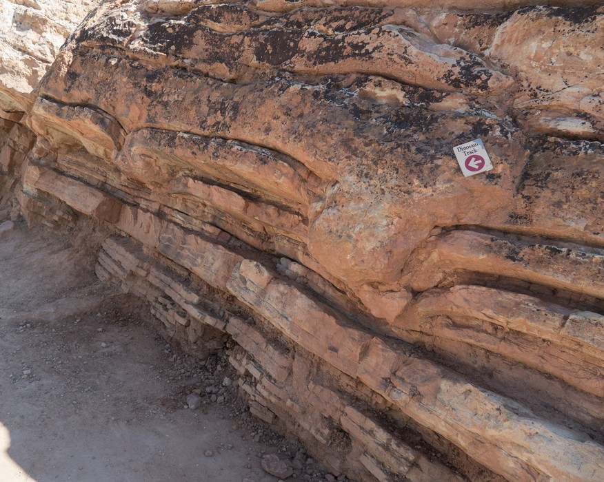 Dinosaur Ridge.<br />Aug. 19, 2017 - Jefferson County, Colorado.