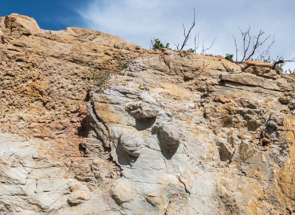 Dinosaur foot impressions.<br />Aug. 19, 2017 - Triceratops Trail, Golden, Colorado.
