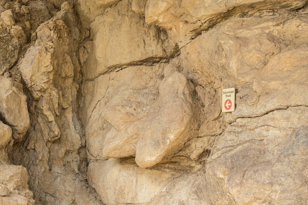 Triceratops track.<br />Aug. 19, 2017 - Triceratops Trail, Golden, Colorado.