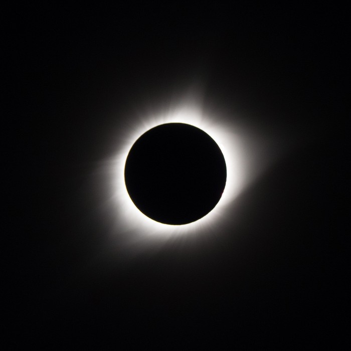 Total solar eclipse.<br />Aug. 21, 2017 - Vesta Cedar Glade State Natural Area, Tennessee.