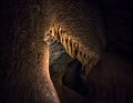 Aug. 22, 2017 - Mammoth Caves, Kentucky.