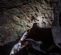 A large insect in the cave near our exit.<br />Aug. 22, 2017 - Mammoth Caves, Kentucky.