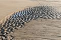 Jan. 10, 2018 - Parker River National Wildlife Refuge, Plum Island, Massachusetts.