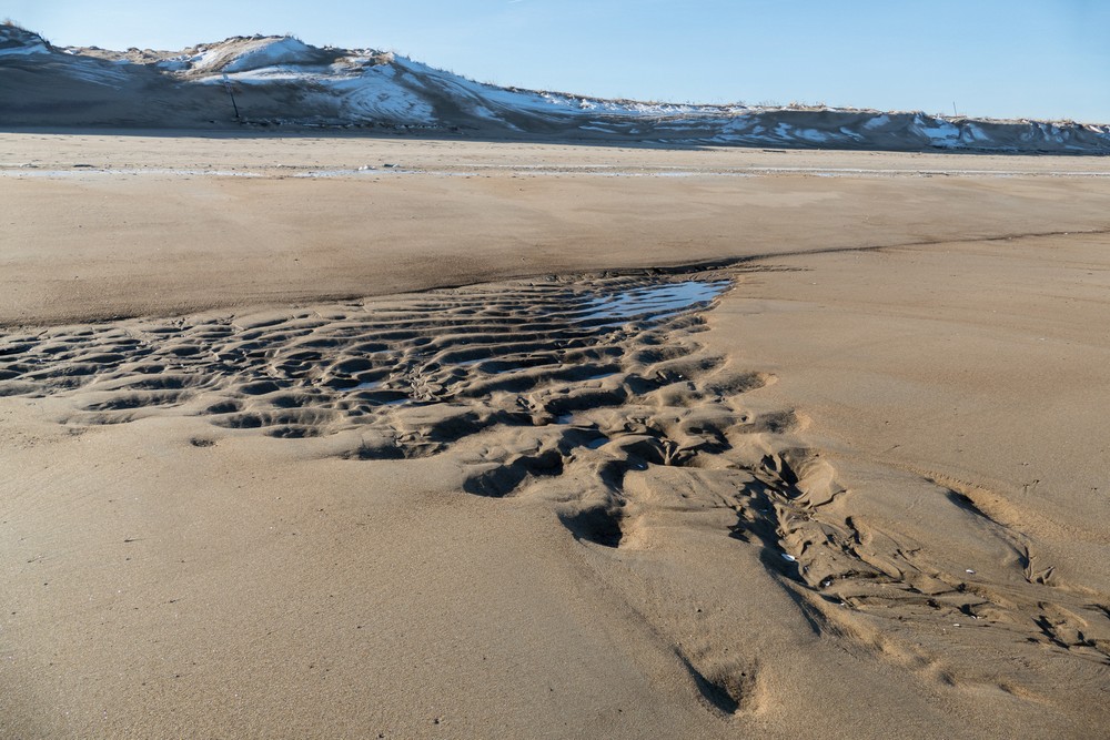 Jan. 10, 2018 - Parker River National Wildlife Refuge, Plum Island, Massachusetts.