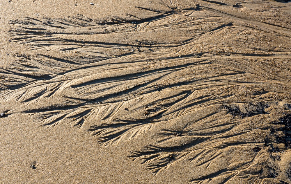 Jan. 10, 2018 - Parker River National Wildlife Refuge, Plum Island, Massachusetts.