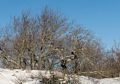 Jan. 10, 2018 - Parker River National Wildlife Refuge, Plum Island, Massachusetts.