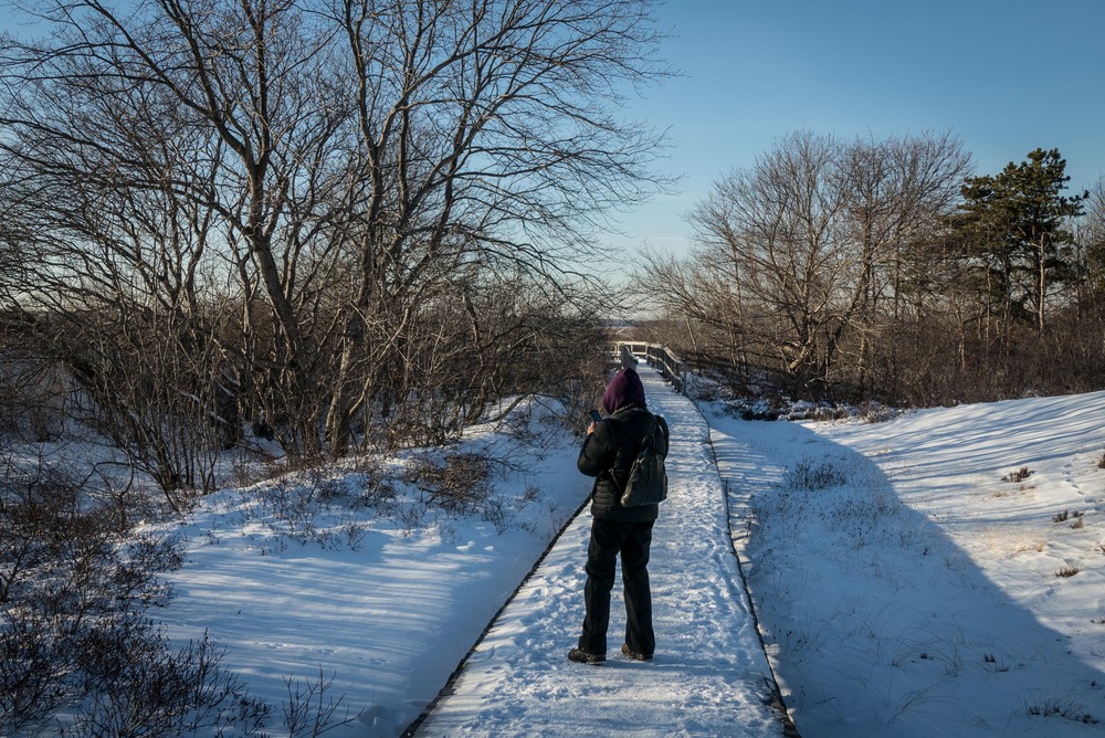 Joyce on boardwalk to parking lot #3.<br />Jan. 10, 2018 - Parker River National Wildlife Refuge, Plum Island, Massachusetts.