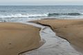 A second day at Plum Island on a balmy (50 degree) day.<br />Jan. 11, 2018 - Parker River National Wildlife <br />Refuge, Plum Island, Massachusetts.