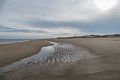 A second day at Plum Island on a balmy (50 degree) day.<br />Jan. 11, 2018 - Parker River National Wildlife <br />Refuge, Plum Island, Massachusetts.