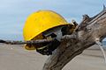 A bright yellow hard hat placed on driftwood.<br />A second day at Plum Island on a balmy (50 degree) day.<br />Jan. 11, 2018 - Parker River National Wildlife <br />Refuge, Plum Island, Massachusetts.