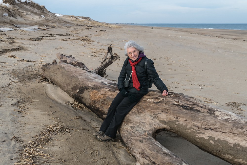 Joyce.<br />A second day at Plum Island on a balmy (50 degree) day.<br />Jan. 11, 2018 - Parker River National Wildlife <br />Refuge, Plum Island, Massachusetts.
