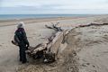 Joyce.<br />A second day at Plum Island on a balmy (50 degree) day.<br />Jan. 11, 2018 - Parker River National Wildlife <br />Refuge, Plum Island, Massachusetts.