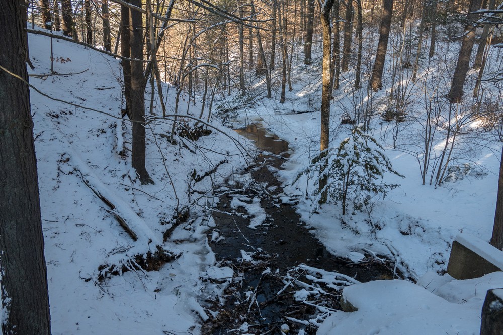 Jan. 18, 2018 - Maudslay State Park, Newburyport, Massachusetts.