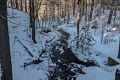 Jan. 18, 2018 - Maudslay State Park, Newburyport, Massachusetts.