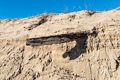 An old tree trunk unearthed by winter's storms.<br />A six mile hike with Joyce and Paul.<br />Feb. 17, 2018 - Parker River National Wildlife Refuge, Plum Island, Massachusetts.