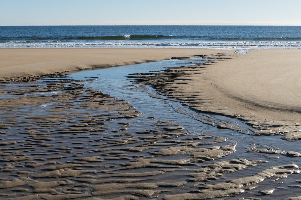 A six mile hike with Joyce and Paul.<br />Feb. 17, 2018 - Parker River National Wildlife Refuge, Plum Island, Massachusetts.