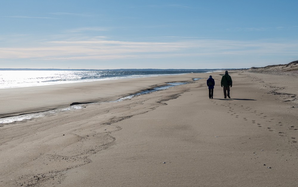 A six mile hike with Joyce and Paul.<br />Feb. 17, 2018 - Parker River National Wildlife Refuge, Plum Island, Massachusetts.