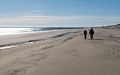 A six mile hike with Joyce and Paul.<br />Feb. 17, 2018 - Parker River National Wildlife Refuge, Plum Island, Massachusetts.