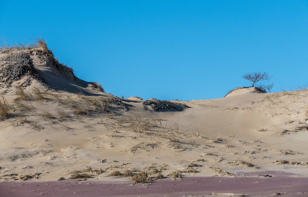 A six mile hike with Joyce and Paul.<br />Feb. 17, 2018 - Parker River National Wildlife Refuge, Plum Island, Massachusetts.