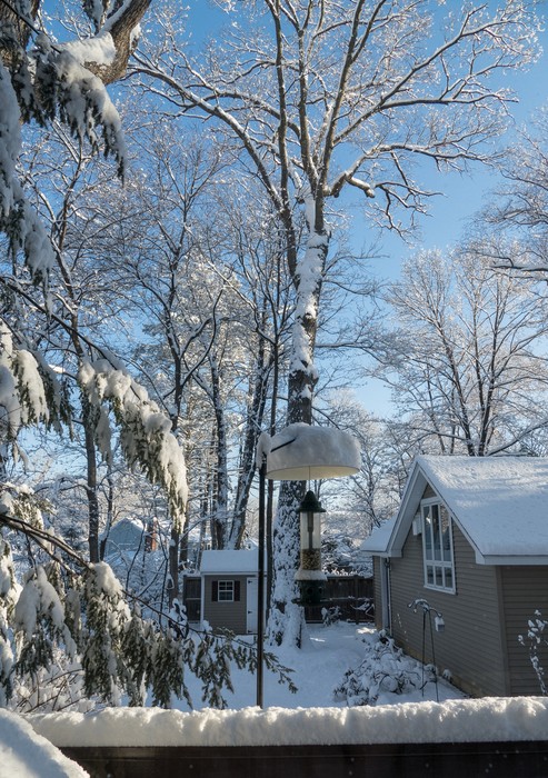 View out the kitchen window after a snowstorm.<br />Feb. 18, 2018 - At home in Merrimac, Massachusetts.