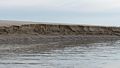 Cliff (~2 feet high) along exit channel of tidal pool.<br />March 1, 2018 - Sandy Point State Reservation, Plum Island, Massachusetts.