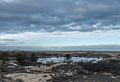 View from boardwalk.<br />Off parking lot #2.<br />March 4, 2018 - Parker River National Wildlife Refuge, Plum Island, Massachusetts.